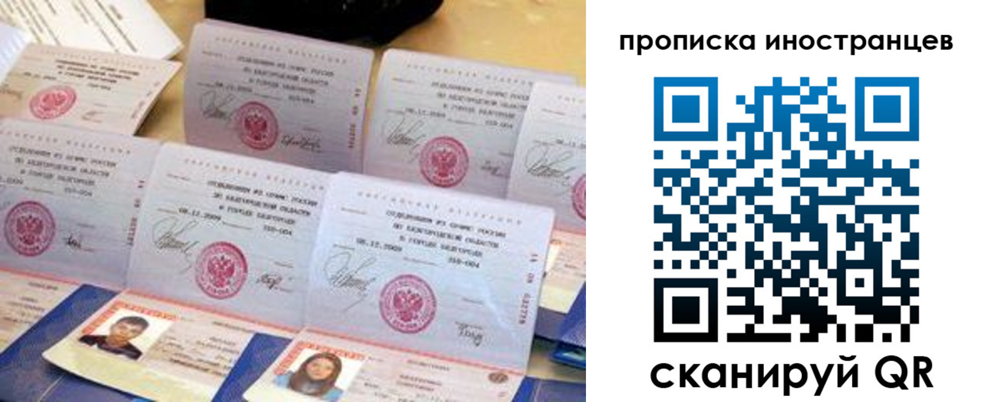 прописка для школы в Судогде